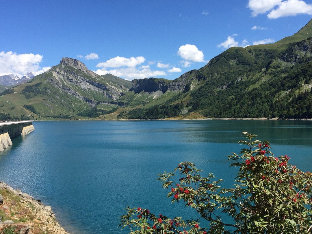 Barrage et Site de Roselend景点图片