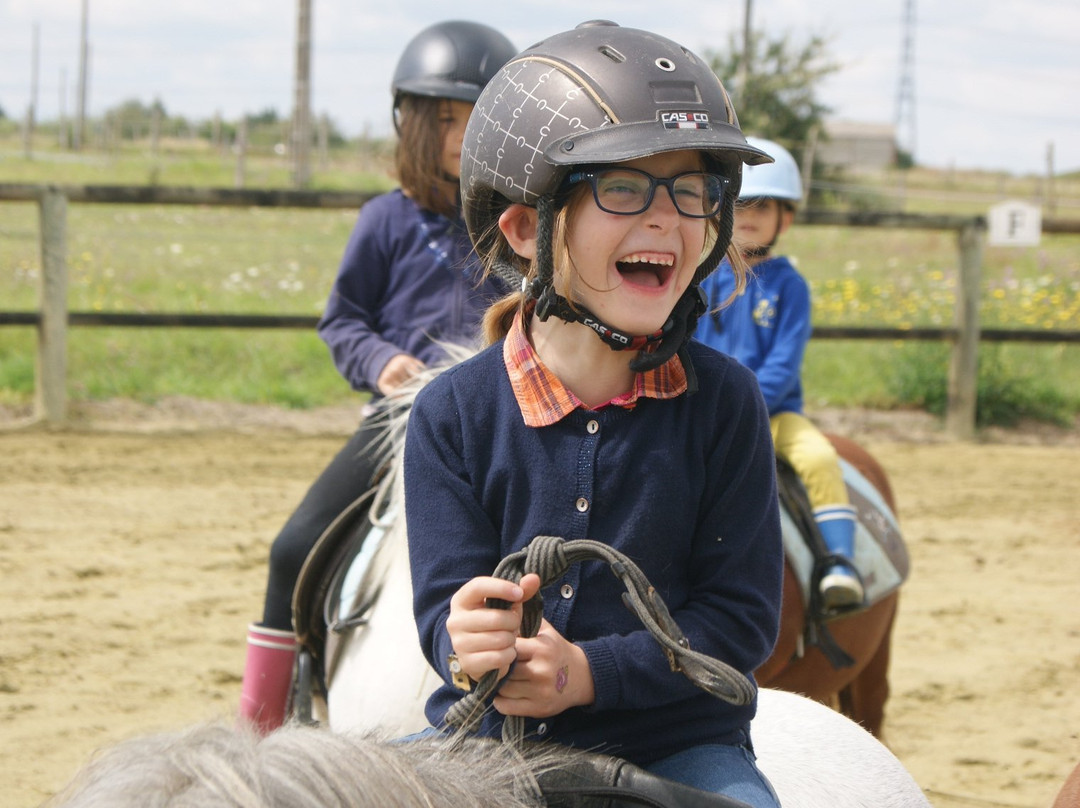 Centre Equestre d'Azay le Rideau景点图片