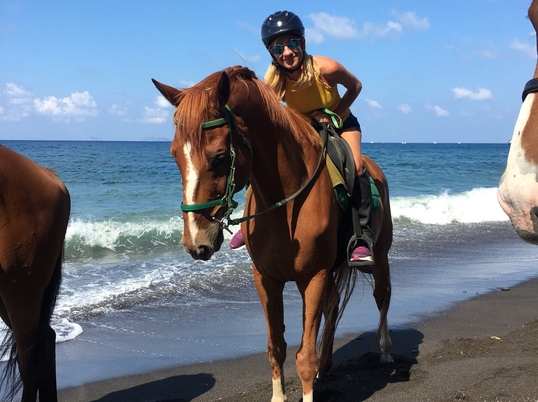 Efippos Horse Farm-维查德必去景点