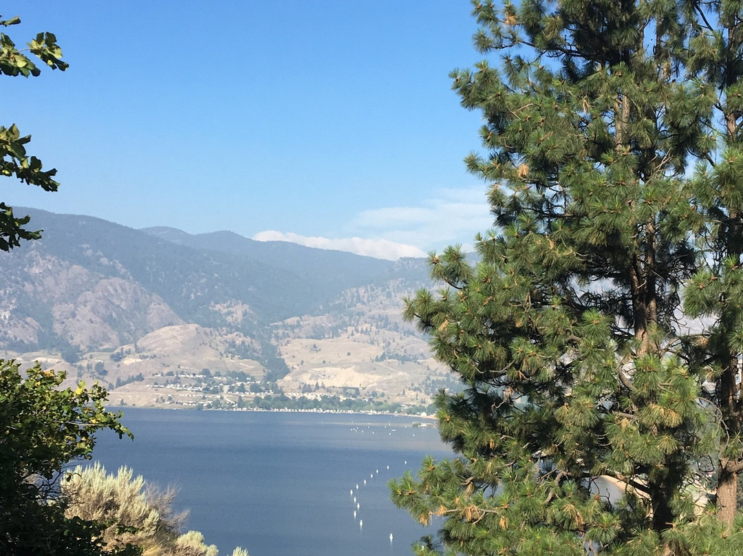 Above The Beach Guest Suites主图