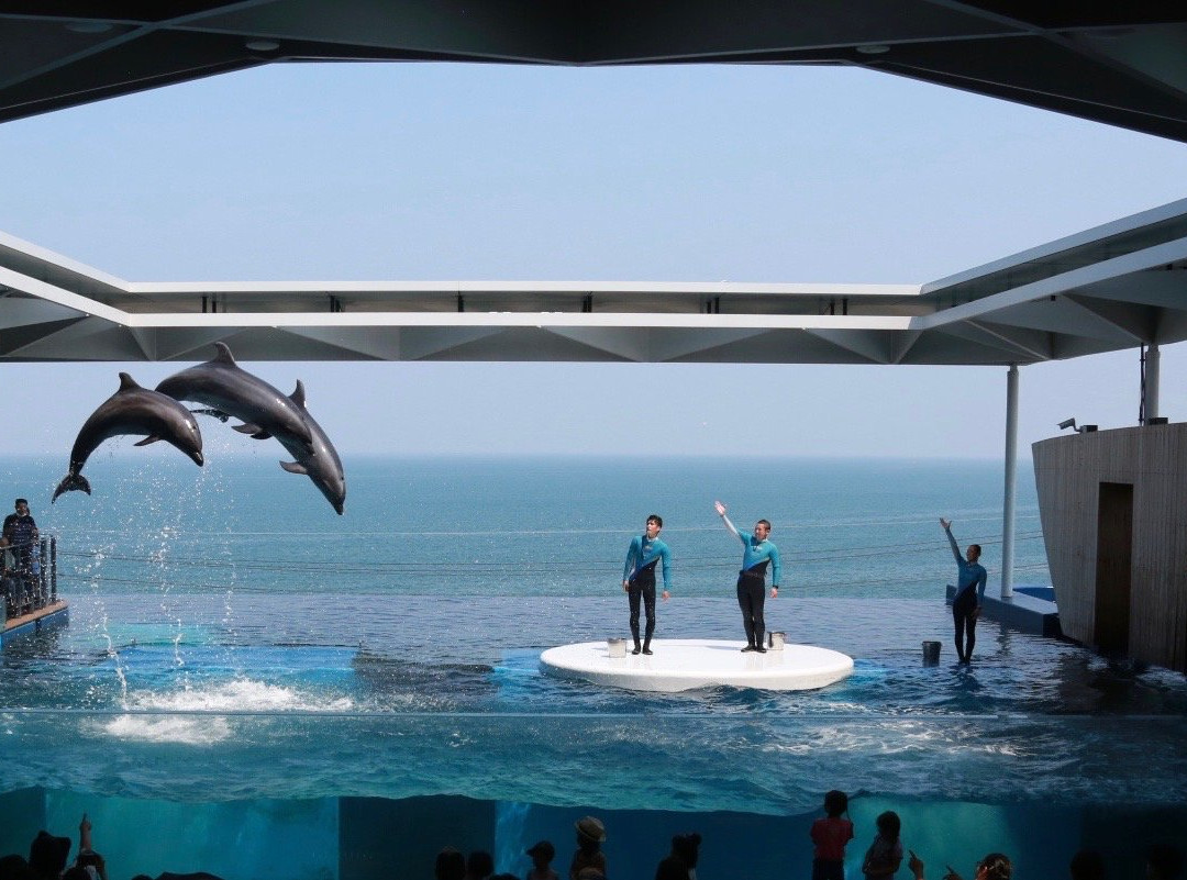 Joetsu Aquarium Umigatari景点图片