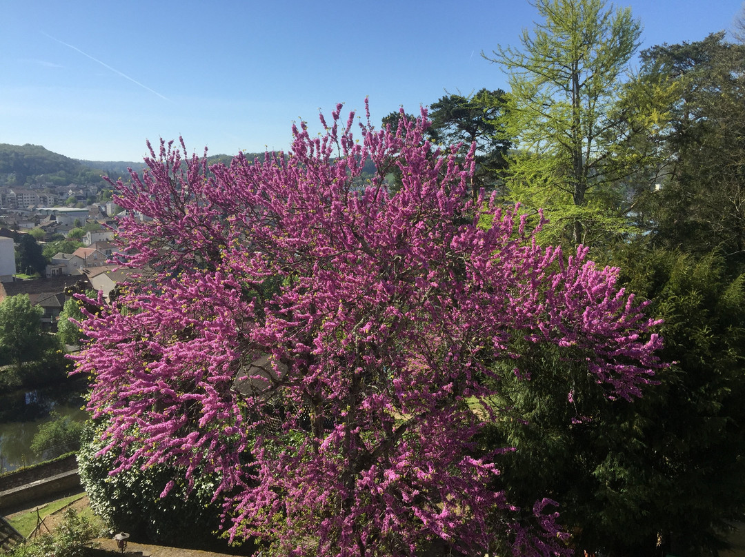 Chambres d'Hotes Couleurs du Temps主图