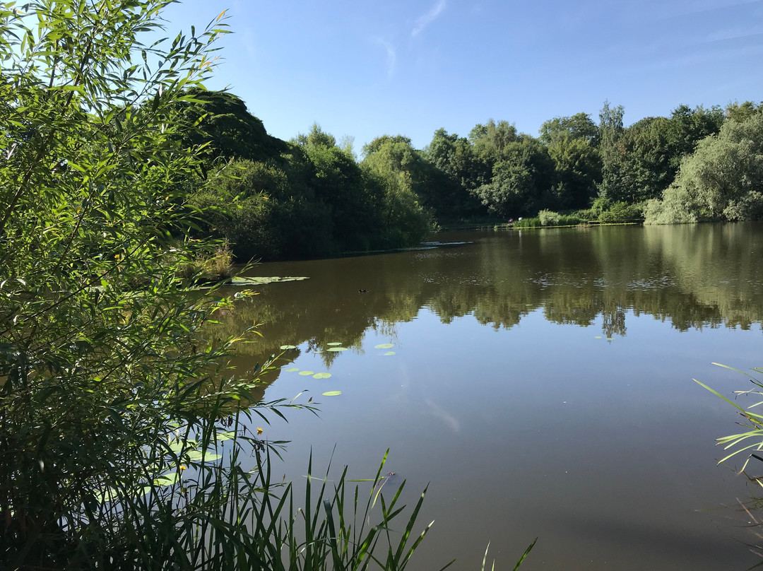 Taylor Park