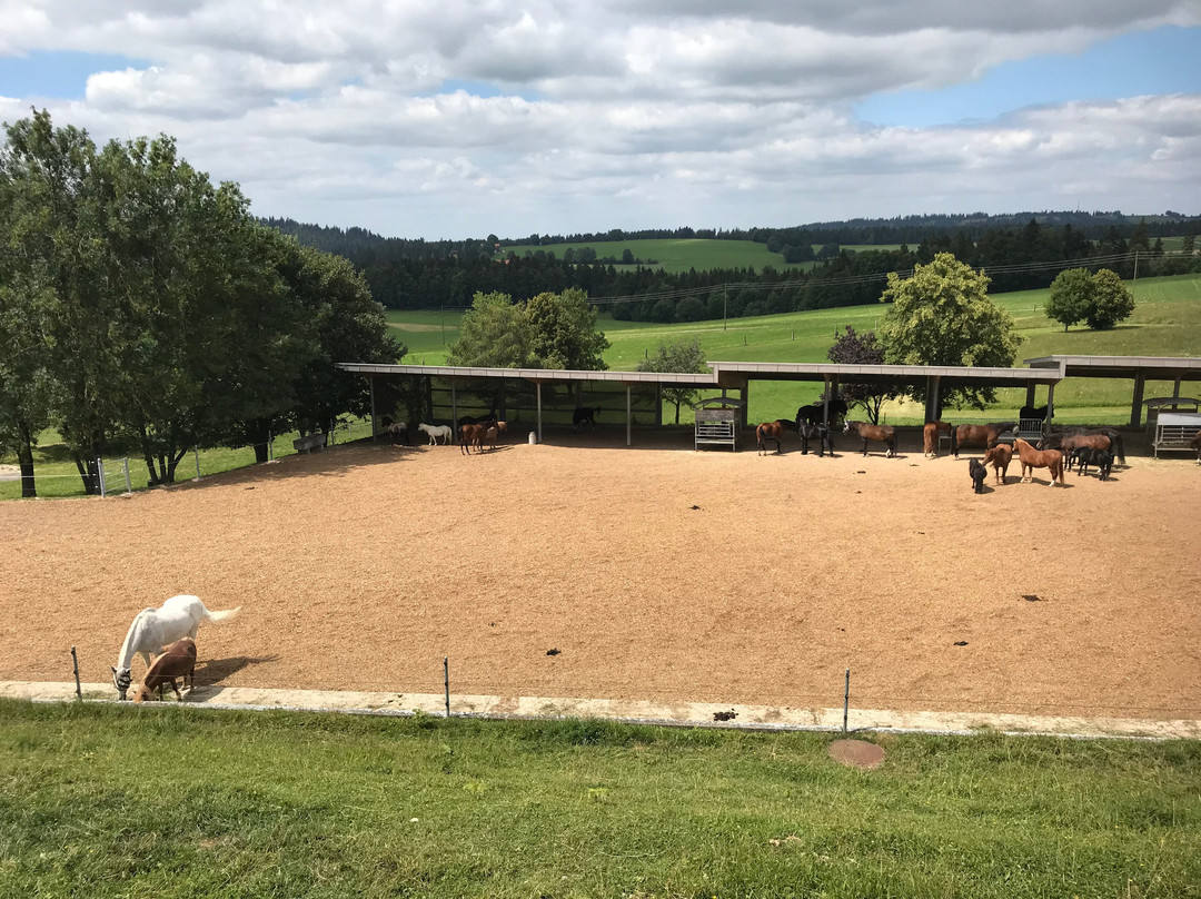 Fondation pour le cheval Le Roselet景点图片
