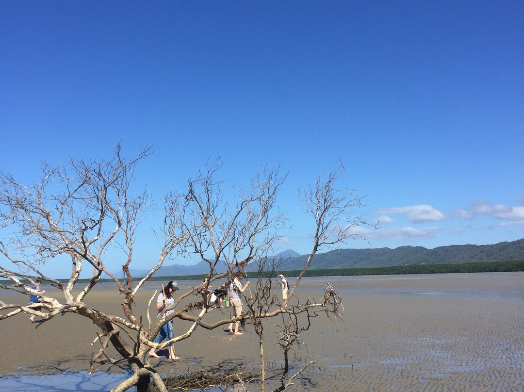 2023年Cooya Beach旅游攻略 8Cooya Beach酒店/景点/门票/美食/自助游/自驾/自由行/游玩攻略
