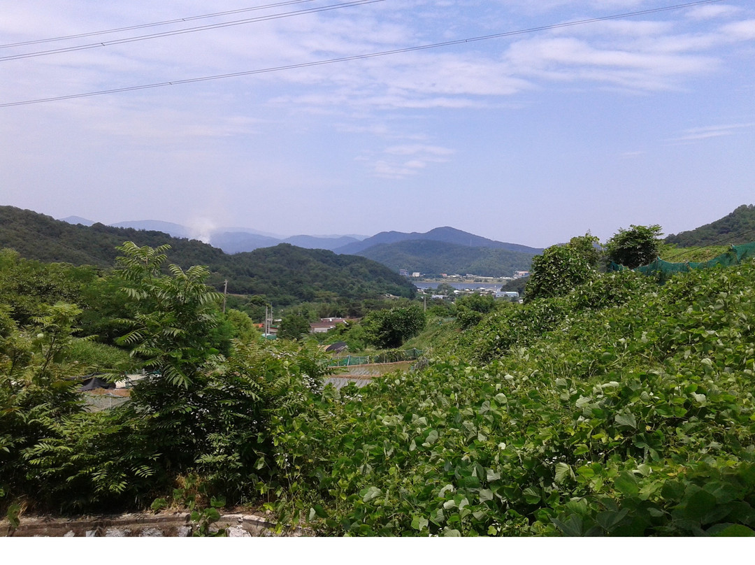 Gunwi Buddha Triad Grotto-漆谷郡必去景点