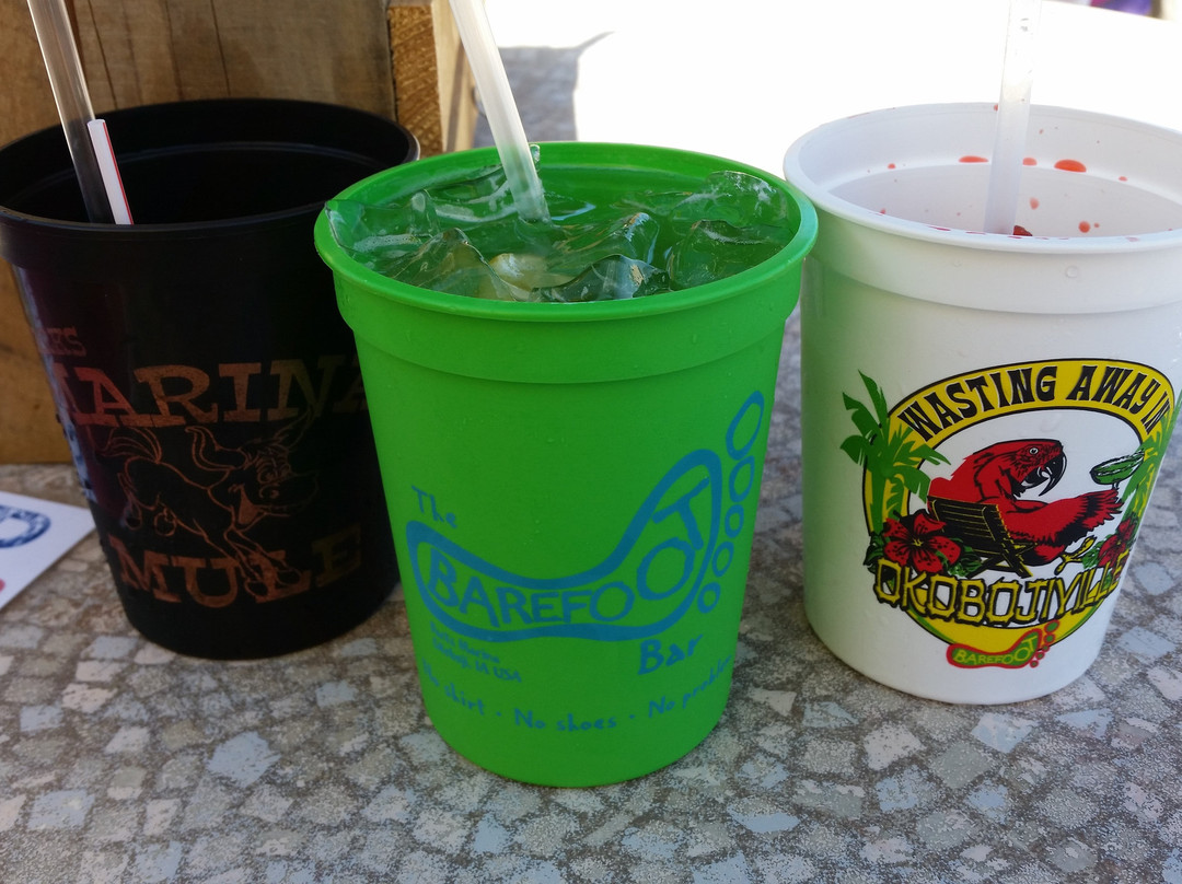 The Barefoot Bar at Okoboji-奥科博吉必去景点