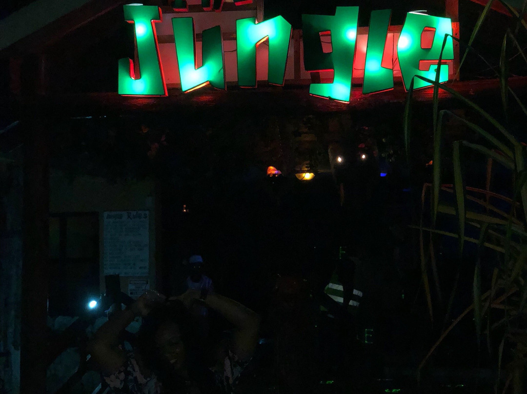 The Jungle Night Club, Sports Bar & Grill景点图片