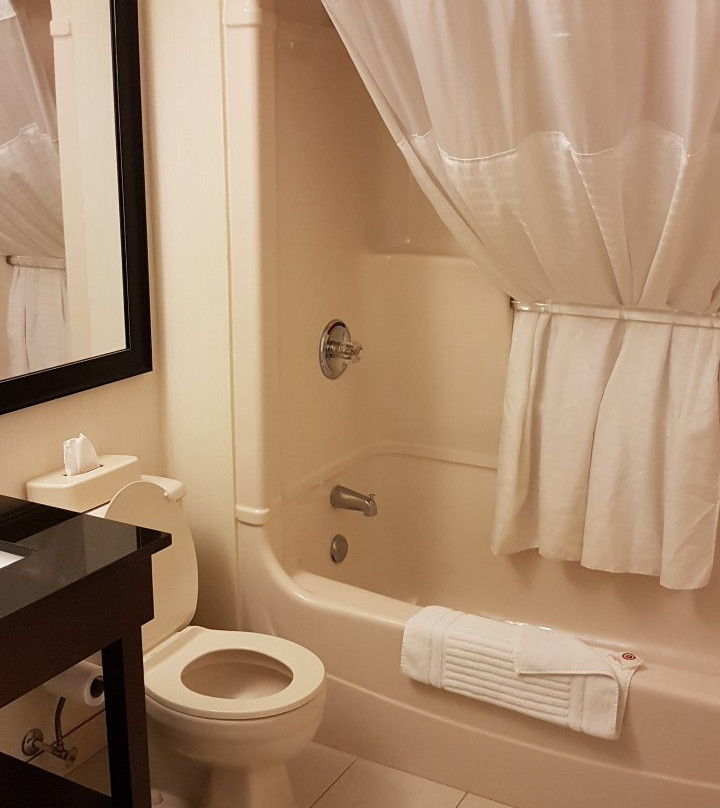 Comfort Inn Simcoe主图