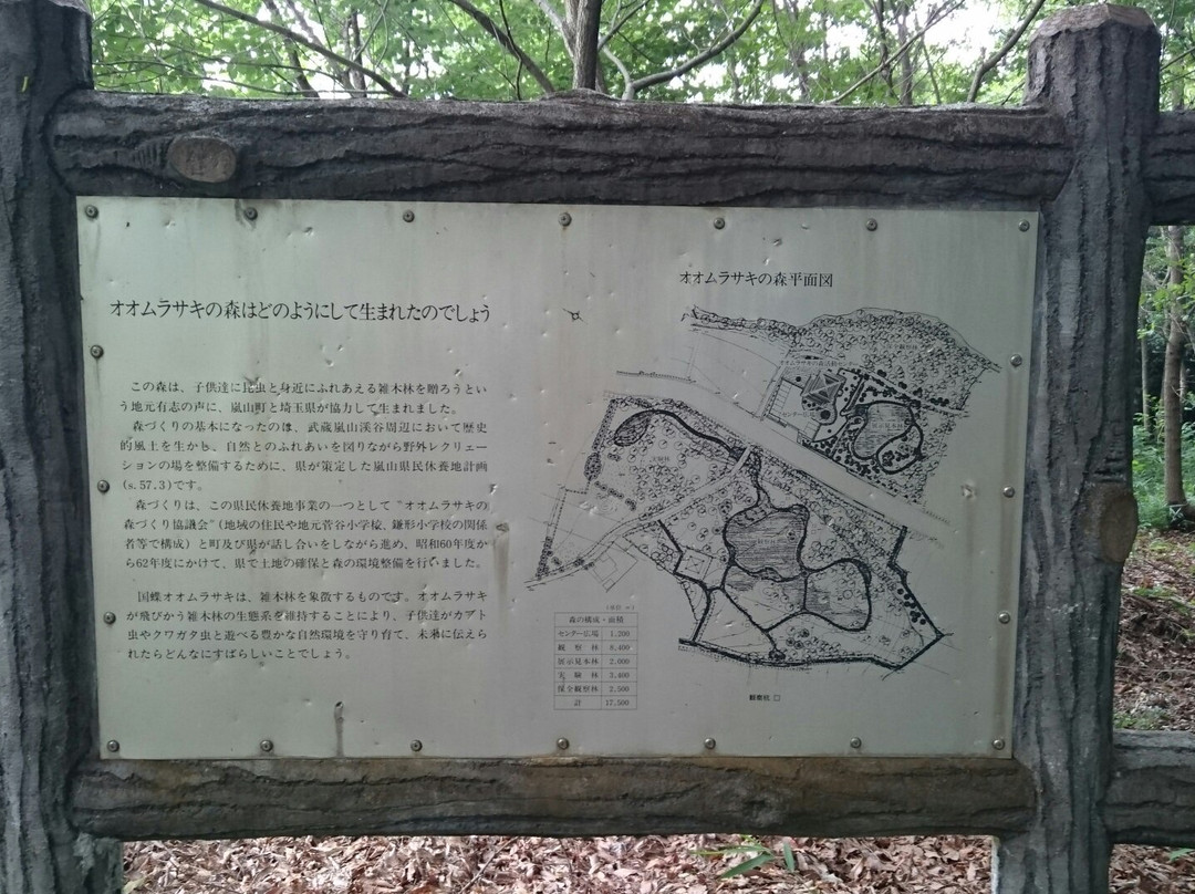 Village of Butterfly Park-岚山町必去景点