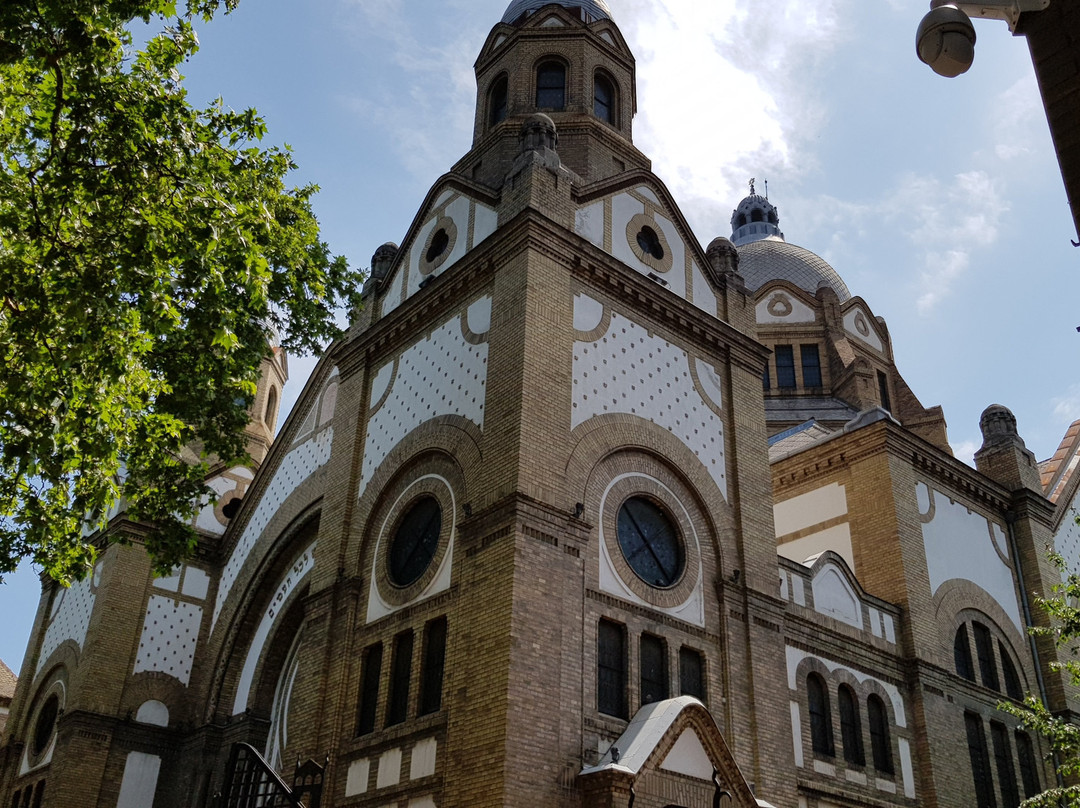 Novi Sad Synagogue景点图片