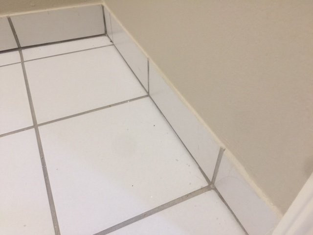 Quality Inn & Suites Pearl-Jackson主图