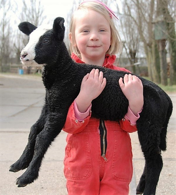 Natuurcamping De Boerderij