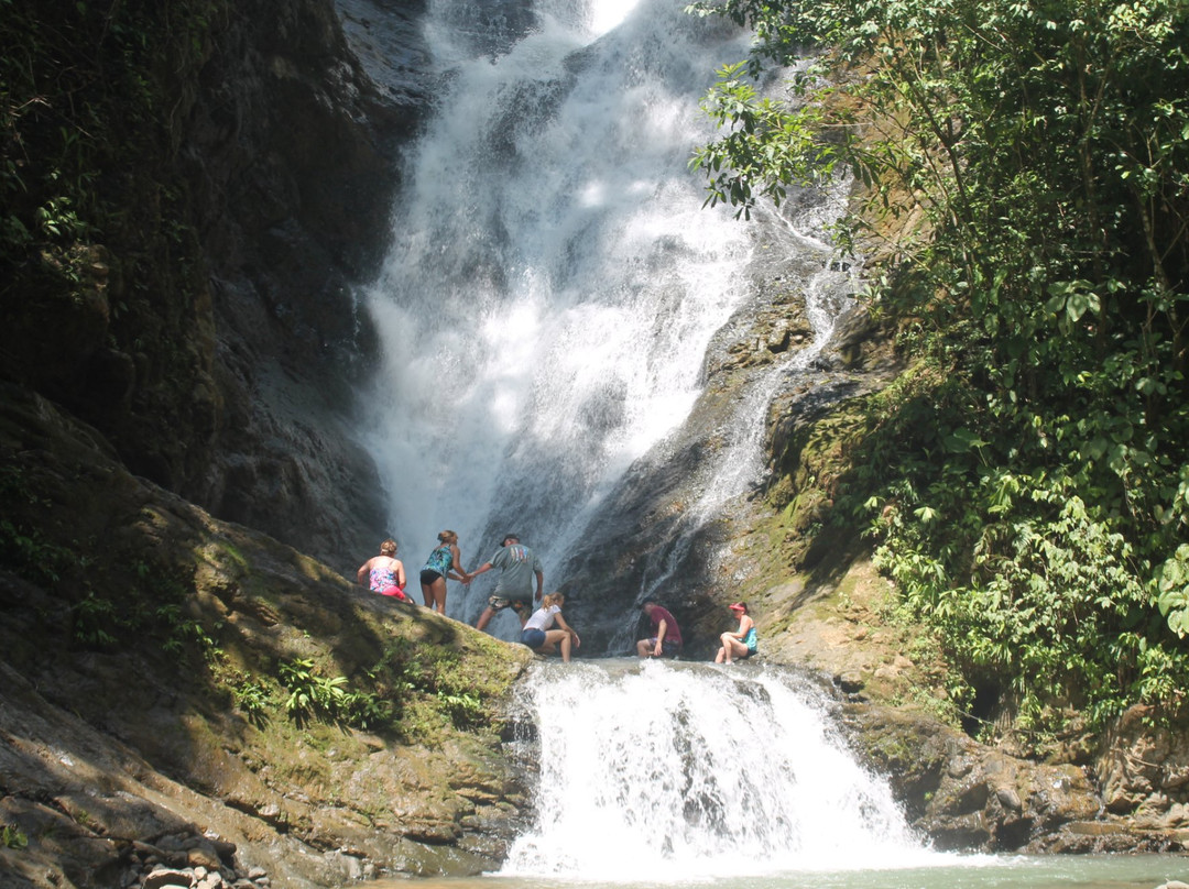 Waterfalls Manuel Antonio景点图片