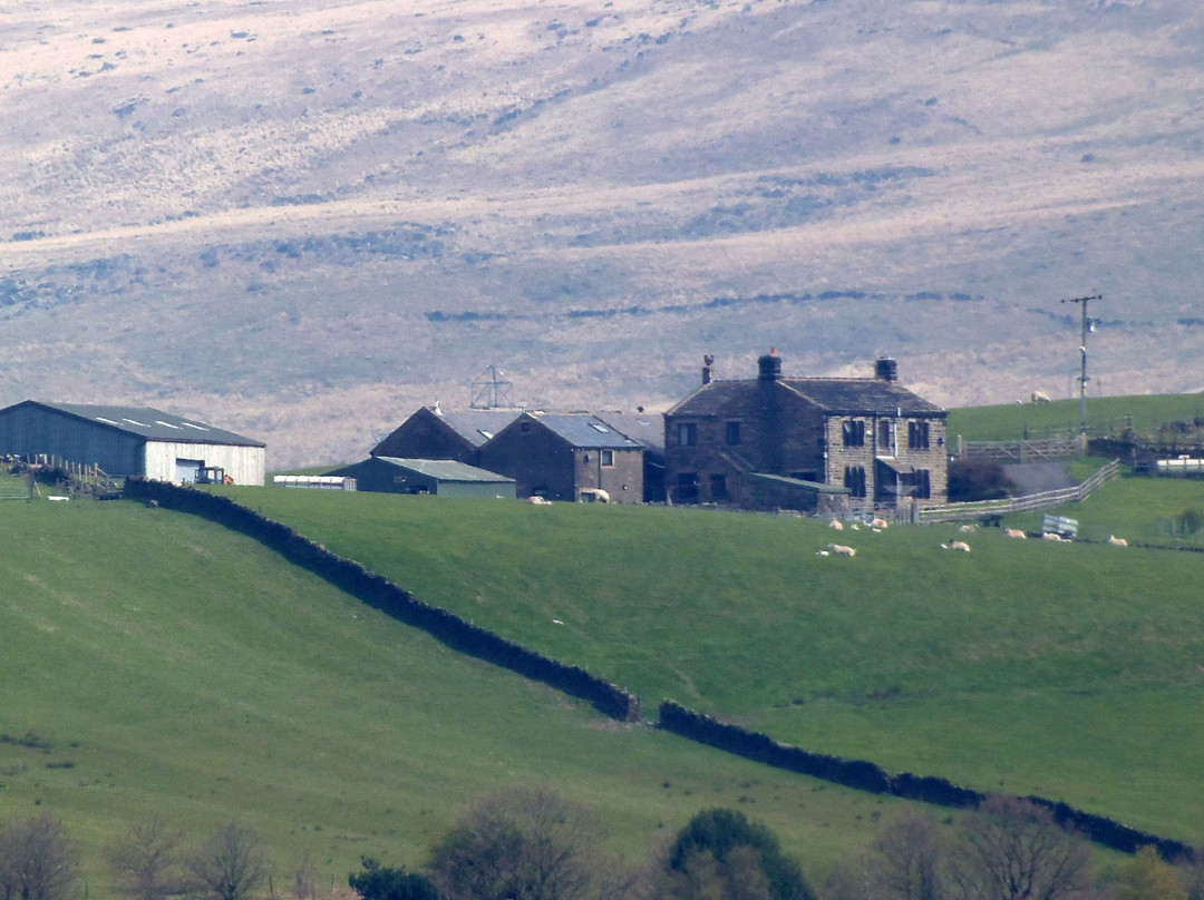 Fielden Farm Cottages