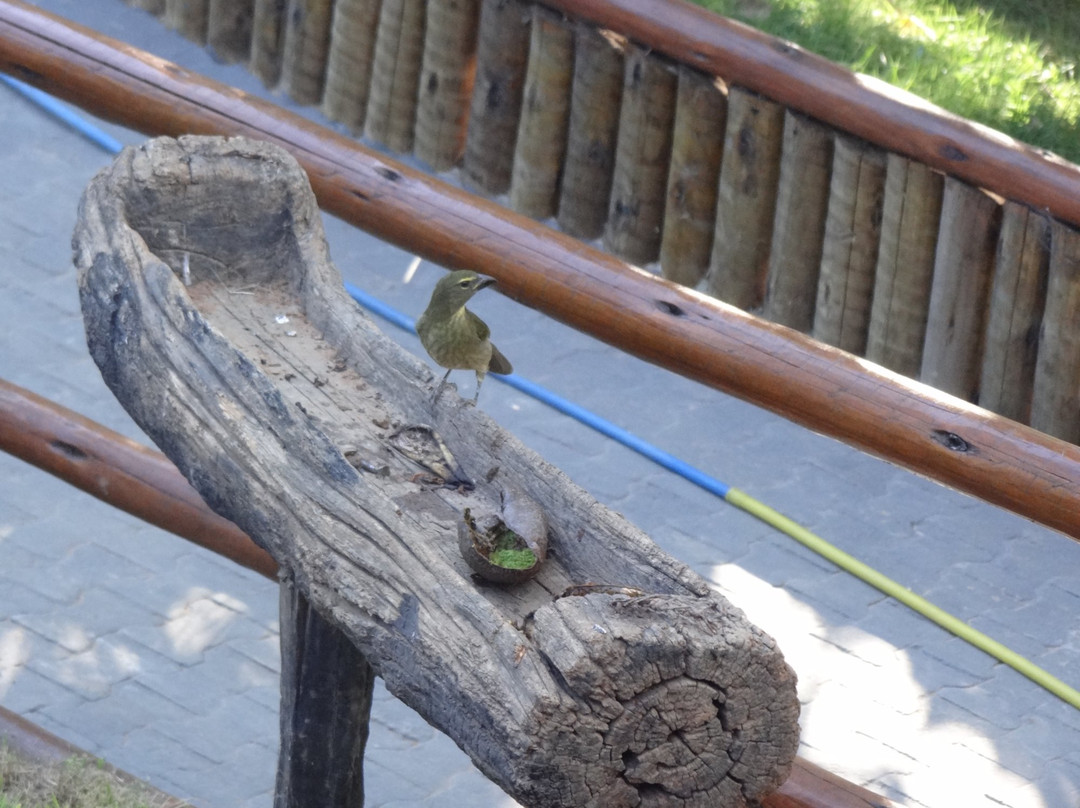 Pousada Recanto Do Rio主图