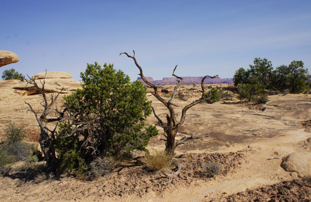 Confluence Overlook Trail景点图片