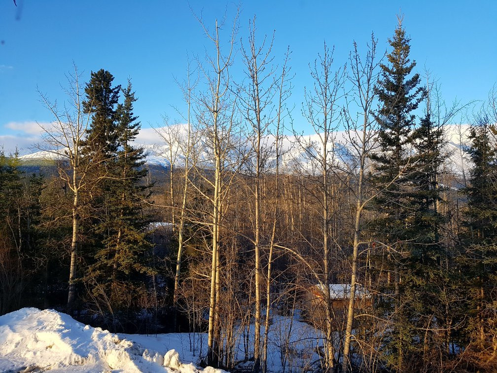 海恩斯章克申餐馆和美食-Cozy Corner Motel & Restaurant