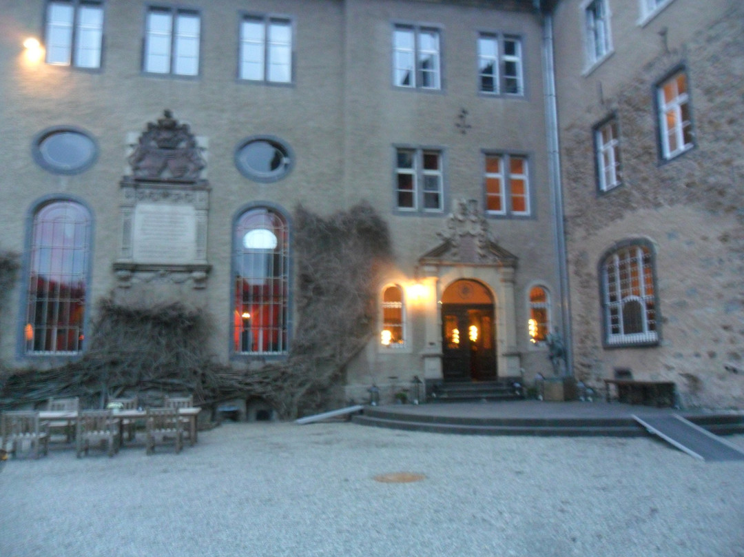 Schloss Namedy景点图片