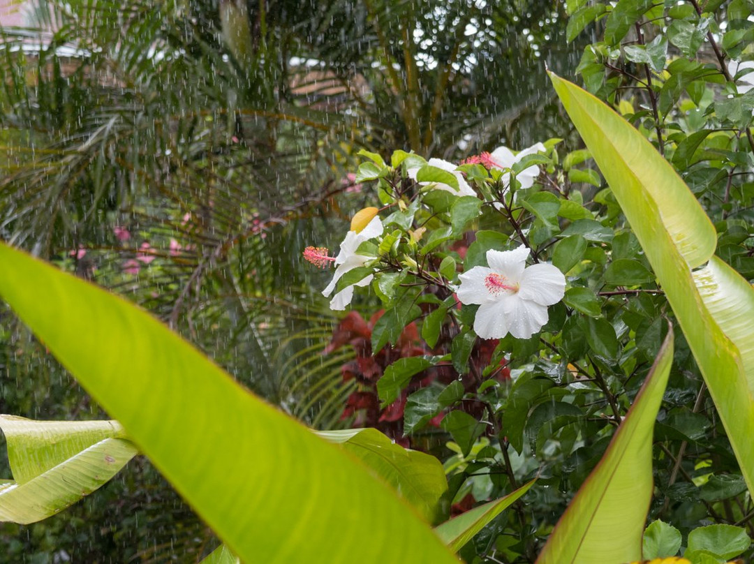 Hotel Manutara主图