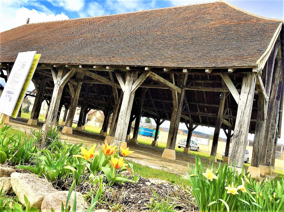 Scorbé-Clairvaux旅游攻略图片