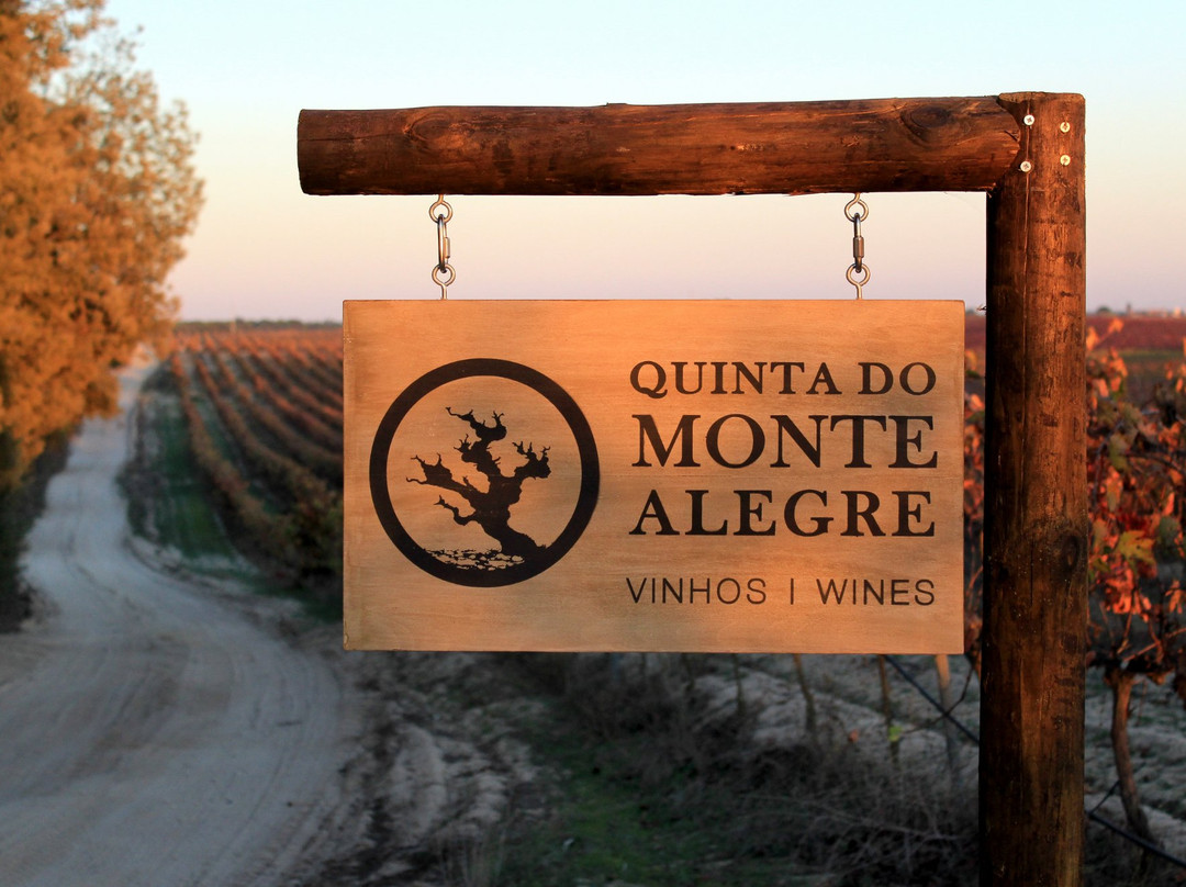 Quinta do Monte Alegre景点图片