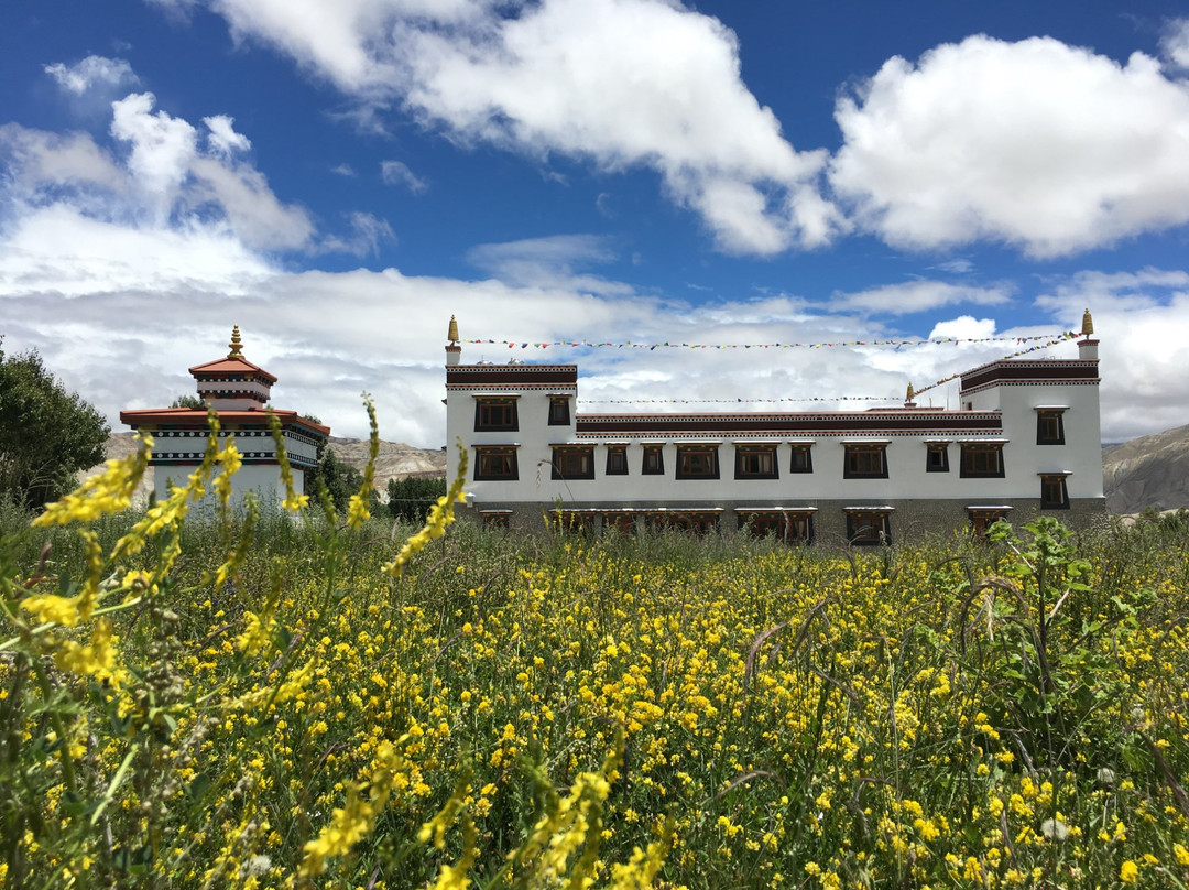 Ghami酒店住宿-Royal Mustang Resort