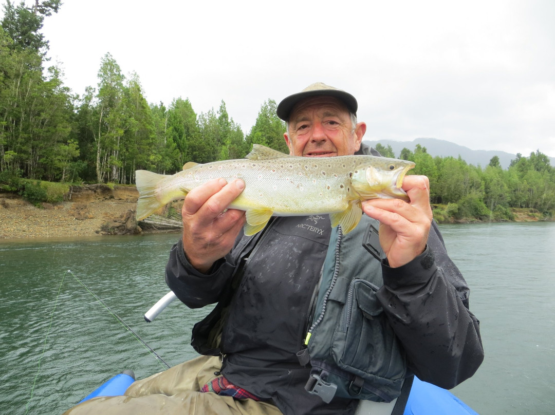 Viva La Lluvia-Cisnes必去景点
