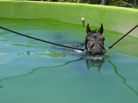 San Antonio旅游攻略图片