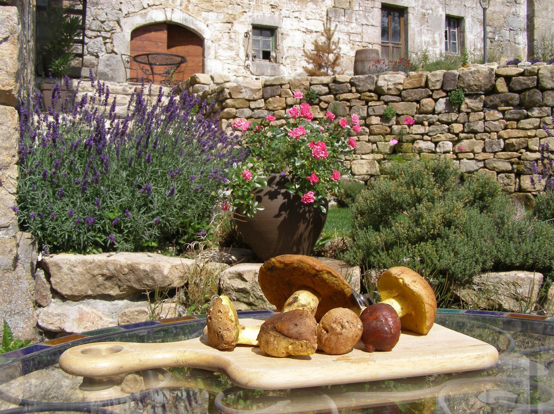 Moulin de Montabonnel主图