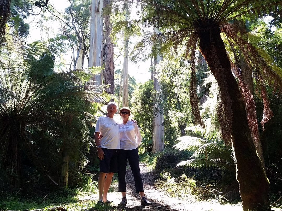 Paradise Picnic Reserve-阿波罗湾必去景点