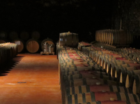 Langa Wine Tour-阿尔巴必去景点