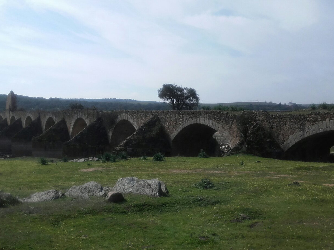 Ajuda Bridge-埃尔瓦什必去景点