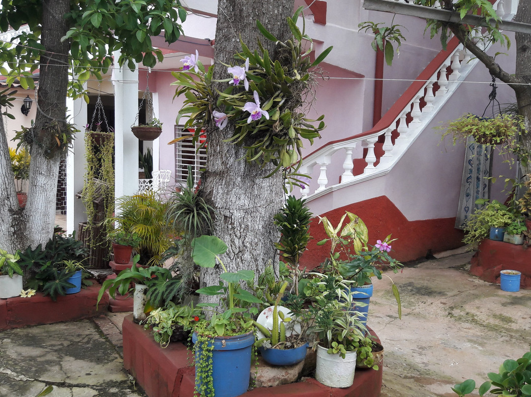 Hostal La Campiña主图