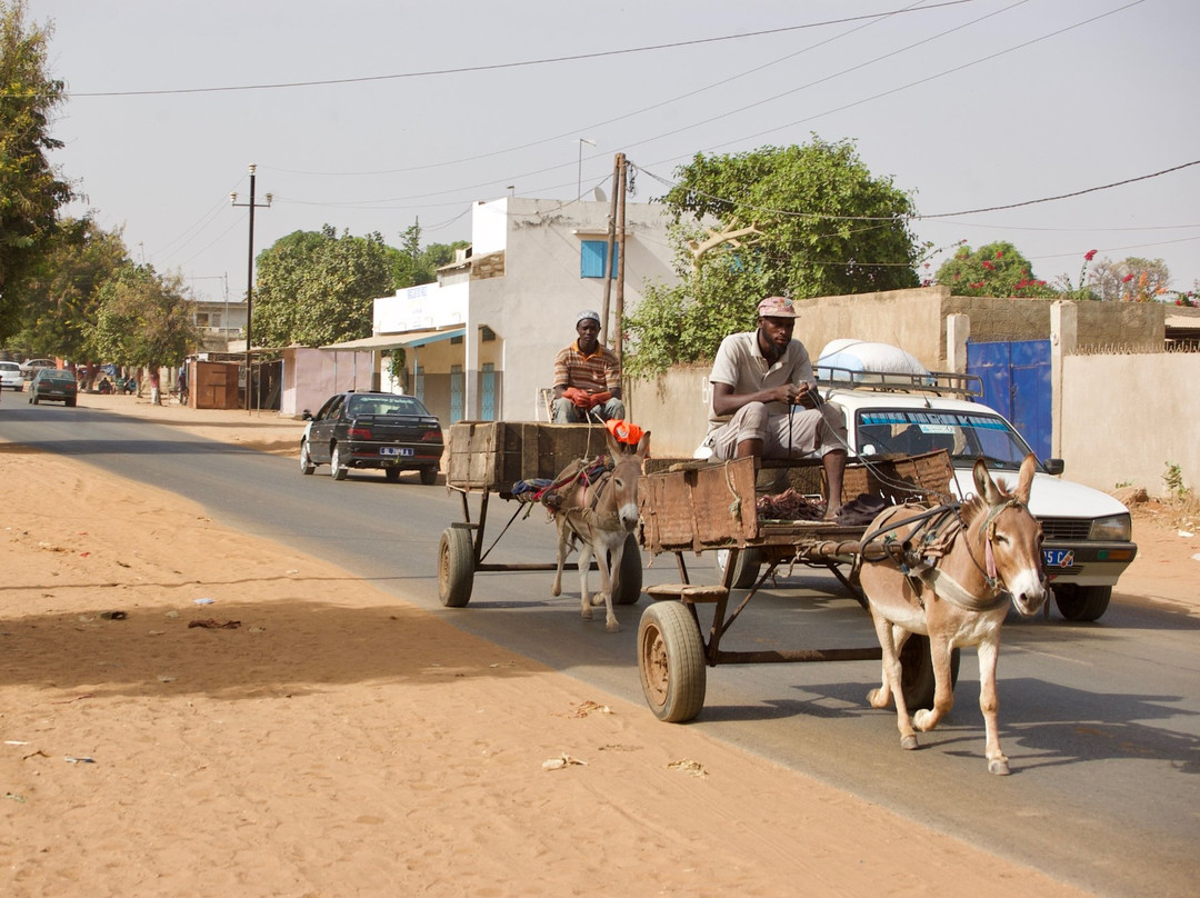 Voyage Sénégal Guide景点图片