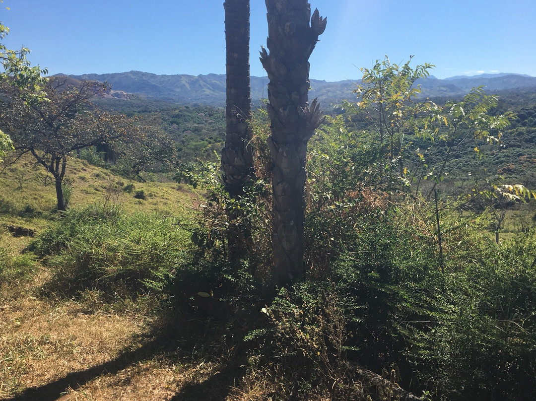 Turu Ba Ri Tropical Park-圣何塞省必去景点