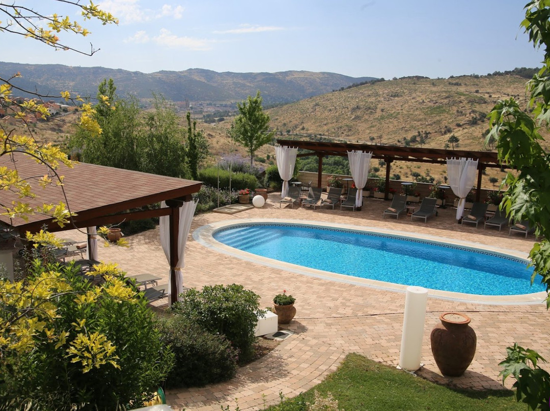 Hotel Los Cinco Enebros主图