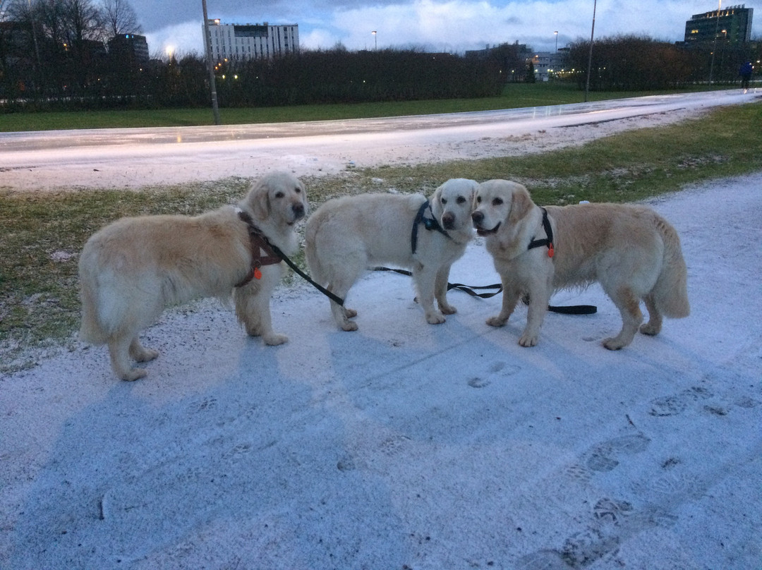 Kupittaa Park-土尔库必去景点