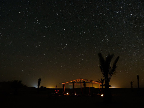 Tarla Tours-卡萨布兰卡必去景点