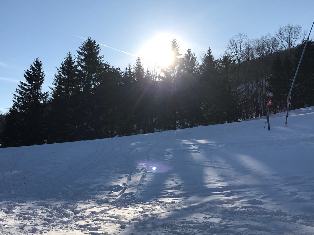 Bristol Mountain Ski Resort景点图片