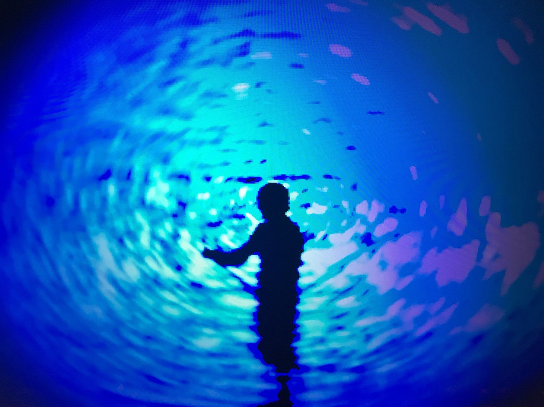 AfricaSUP Jeffreys Bay-杰佛瑞湾必去景点