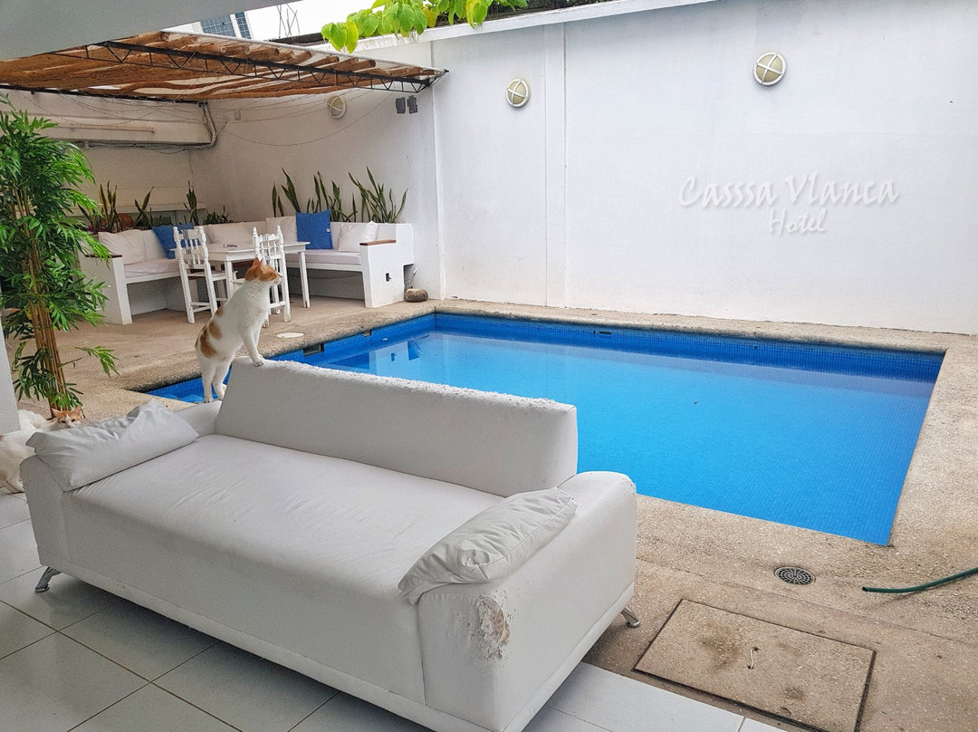 Casssa Vlanca Hotel主图