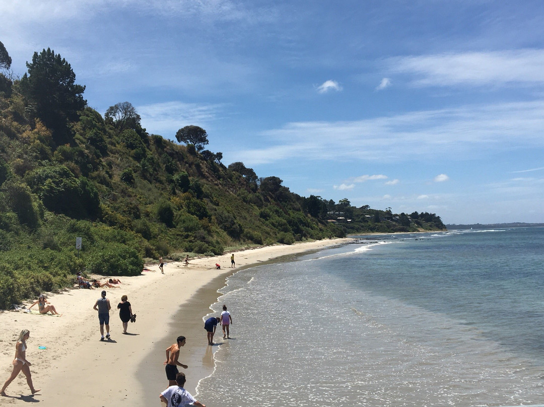 Flinders Beach景点图片