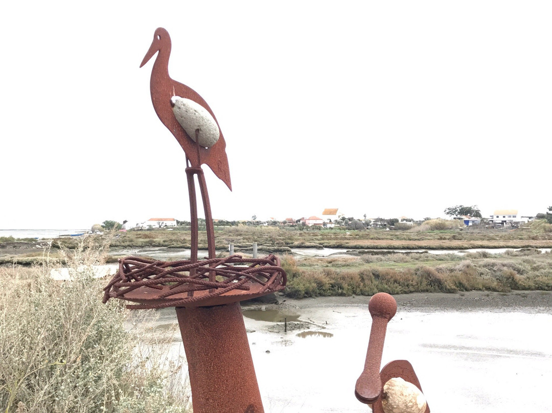 Reserva Natural do Estuario do Sado景点图片