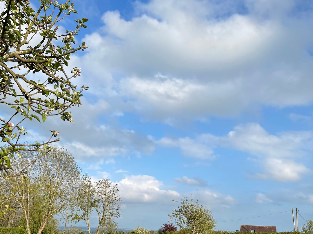 Green Gates Motorhome and Caravan Park