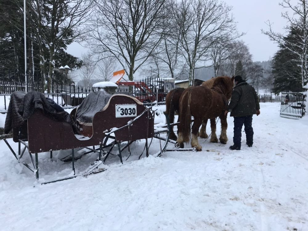 Pferdefuhrhalterei Winterberg-Winterberg必去景点