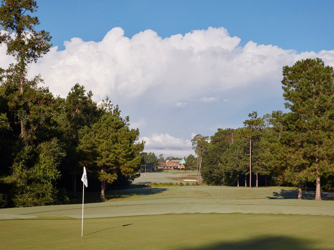 Grand Bear Golf Course景点图片