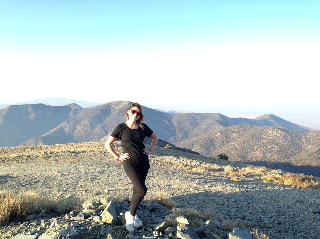 Wildrose Peak Trail-死亡谷国家公园必去景点