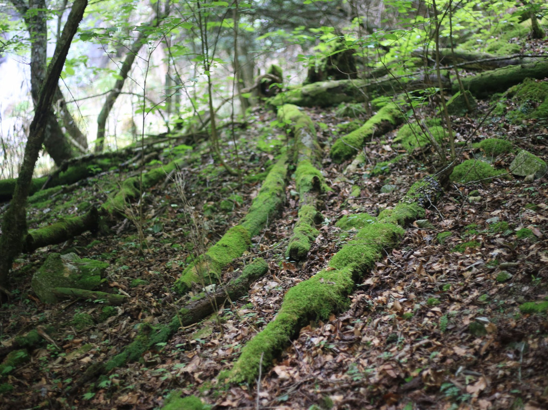 Karasawa Falls-饭田市必去景点