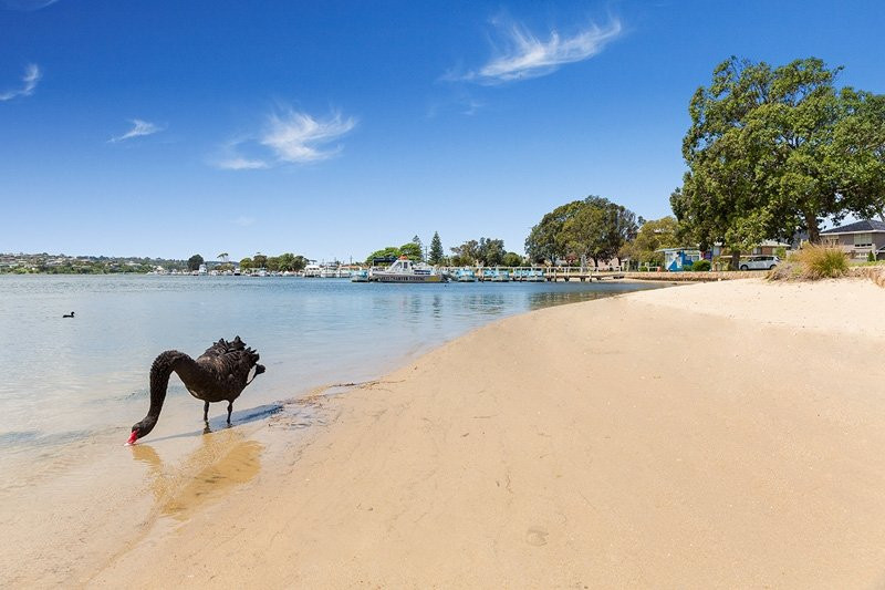 Riviera Beach Resort主图